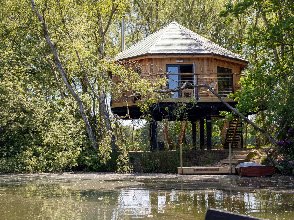 Tree Top Hideaway