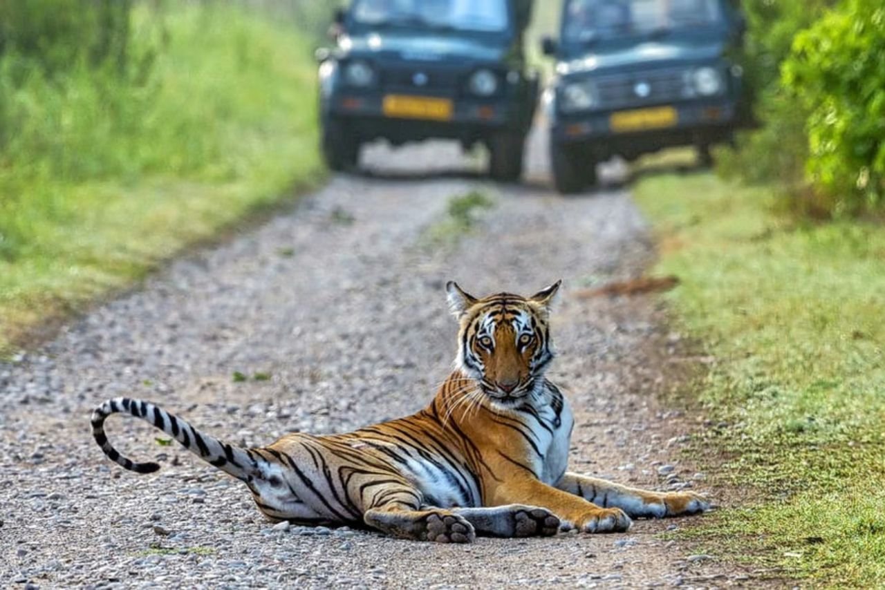 Hello Corbett Tours - 1 Night Package