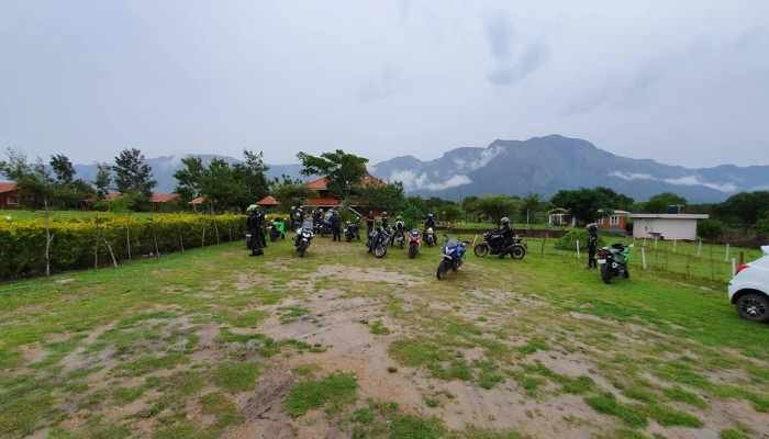 Wild Haven Resort
